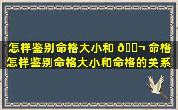 怎样鉴别命格大小和 🐬 命格「怎样鉴别命格大小和命格的关系 🦉 」